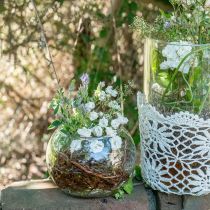 Prodotto Vaso a sfera vaso per fiori in vetro rotondo decorazione in vetro H11cm Ø15cm