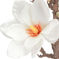 Prodotto Fiore artificiale Magnolia Branch Blossoms Ø2–10cm Crema L105cm