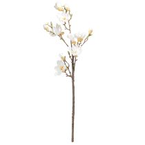 Prodotto Fiore artificiale Magnolia Branch Blossoms Ø2–10cm Crema L105cm