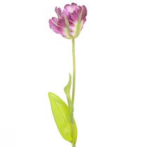 Prodotto Fiore artificiale pappagallo tulipano tulipano artificiale decorativo viola 63 cm