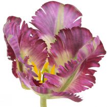 Prodotto Fiore artificiale pappagallo tulipano tulipano artificiale decorativo viola 63 cm