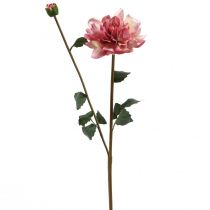 Fiore artificiale dalia fiore rosa con bocciolo H57cm