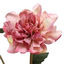 Fiore artificiale dalia fiore rosa con bocciolo H57cm