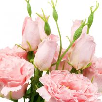 Fiori artificiali Lisianthus fiori di seta artificiale rosa 50 cm 5 pezzi
