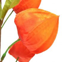 Prodotto Fiore artificiale lanterna arancione Physalis fiori decorativi in seta 93 cm 2 pz