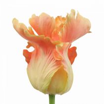 Prodotto Fiore artificiale, tulipano pappagallo arancione, fiore primaverile 63 cm