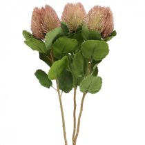 Fiori Artificiali, Banksia, Proteaceae Bianco-Viola L58cm H6cm