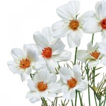 Prodotto Fiori artificiali Cosmea fiori di seta bianca H51cm 3 pz