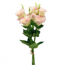 Prodotto Fiori artificiali Eustoma Lisianthus rosa crema 52 cm 5 pz