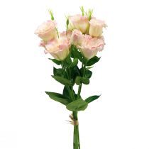 Prodotto Fiori artificiali Eustoma Lisianthus rosa crema 52 cm 5 pezzi