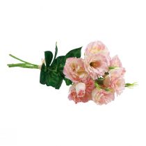 Prodotto Fiori artificiali Eustoma Lisianthus rosa crema 52 cm 5 pz