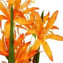 Prodotto Fiori artificiali Nerine Orange Guernsey Lilies Fiori autunnali 48cm