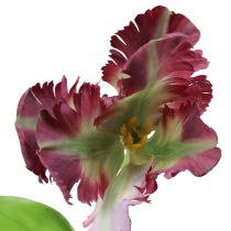 Fiore artificiale pappagallo tulipano tulipano artificiale decorativo viola 63 cm