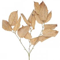 Pianta artificiale decorazione autunnale foglie ramo lavato bianco L70cm