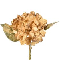 Prodotto Ortensia artificiale essiccata Drylook decorazione autunnale L33cm