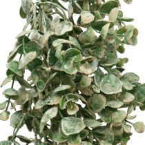 Ghirlanda di bosso artificiale verde bianco lavato L148cm