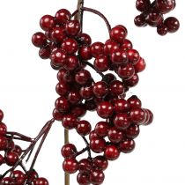 Prodotto Ghirlanda di bacche, ramo di Natale, bacca, bacca rossa invernale L180cm