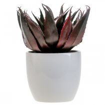 Prodotto Pianta artificiale di aloe vera in vaso Pianta decorativa verde H20 cm