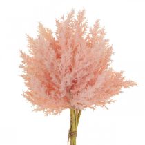 Prodotto Pianta artificiale Astilbe Decorazione Rami Artificiale Rosa H38cm 5 Pz