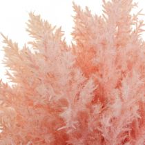 Prodotto Pianta artificiale Astilbe Decorazione Rami Artificiale Rosa H38cm 5 Pz