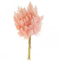 Prodotto Pianta artificiale Astilbe Decorazione Rami Artificiale Rosa H38cm 5 Pz