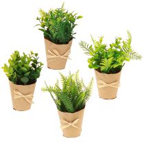 Prodotto Piante artificiali Felce artificiale Bosso 15-19 cm 4 pezzi