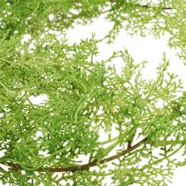 Pianta di asparagi primaverili artificiali ramo decorativo vincolante verde H108cm