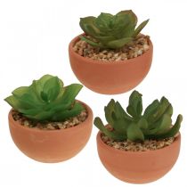 Piante artificiali in vaso piante grasse artificiali H9cm 3pz