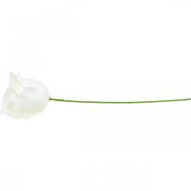 Prodotto Rose artificiali rose in cera color crema rose decorative in cera Ø6cm 18 pz