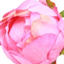 Prodotto Rose artificiali Peonie artificiali in rosa L80cm 2pz