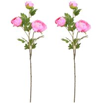 Prodotto Rose artificiali Peonie artificiali in rosa L80cm 2pz