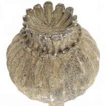 Prodotto Pietra artificiale deco papavero antico deco marrone Ø11cm 30cm