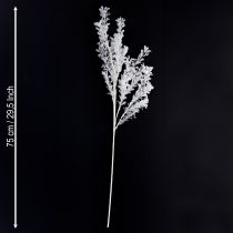 Prodotto Ramo artificiale decorativo ghiacciato decorazione invernale bianco 78 cm 2 pezzi