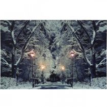 Prodotto Quadro a LED parco paesaggistico invernale con lanterne Murale a LED 58x38cm