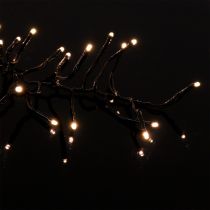 Prodotto Catena luminosa a LED per esterno 288er 2.4m nero/bianco caldo