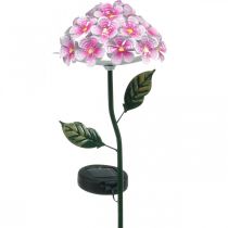 Fiore solare, decorazione da giardino a LED, rosa crisantemo decorativo L55cm Ø15cm