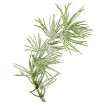 Prodotto Ghirlanda decorativa in larice per un design d'atmosfera, 250 cm