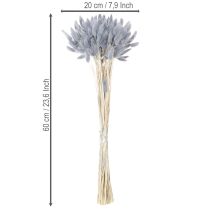 Prodotto Lagurus essiccata (erba coda di lepre) grigia per bouquet di fiori secchi 60 cm 75 g