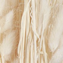 Prodotto Fiori secchi Lagurus Natural – Erba di coda di coniglio soffice in bianco crema 55-70 cm 100 g