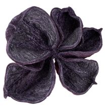 Prodotto Landlotus Mix Mora, Rosa Antico 50 pz