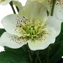 Rosa quaresimale Helleboro Rosa di Natale vaso fiori artificiali H25cm bianco
