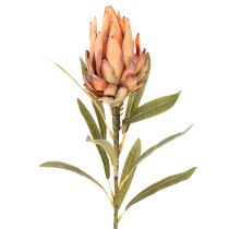 Prodotto Fiore artificiale di Protea Leucadendron con stelo lungo, 65 cm, 3 pezzi
