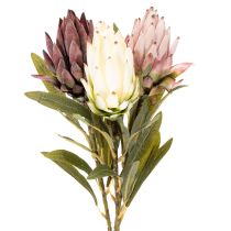Prodotto Protea, fiore artificiale Leucadendron, 65 cm, 3 pezzi