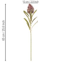 Prodotto Protea, fiore artificiale Leucadendron, 100 cm, 3 pezzi