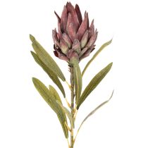 Prodotto Protea, fiore artificiale Leucadendron, 100 cm, 3 pezzi