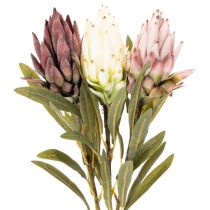 Prodotto Protea, fiore artificiale Leucadendron, 100 cm, 3 pezzi