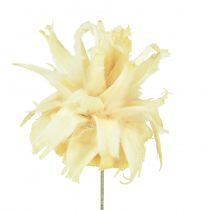 Prodotto Assortimento Leucodentron sbiancato su filo 100 pezzi