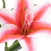 Prodotto Giglio artificiale per una decorazione elegante del soggiorno e un aspetto realistico, 67 cm, 2 pezzi
