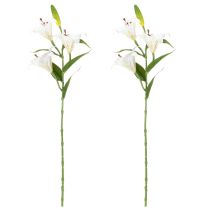 Prodotto Fiore di giglio artificiale, replica realistica, decorazione durevole per spazi abitativi, 66 cm, 2 pezzi