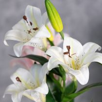 Prodotto Fiore di giglio artificiale, replica realistica, decorazione durevole per spazi abitativi, 66 cm, 2 pezzi